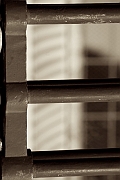 Wall_Art_Alphabet_Photography_Art_ 563